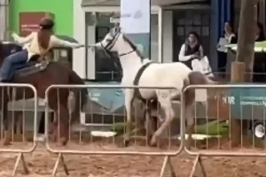 Cavalo desgovernado é controlado por menina de 12 anos no RS