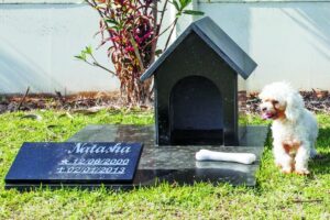 Cemitério para pets: o que é feito no Brasil e como funciona em Maringá?