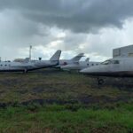Jatinhos ganham espaço e Maringá entra nesse mercado