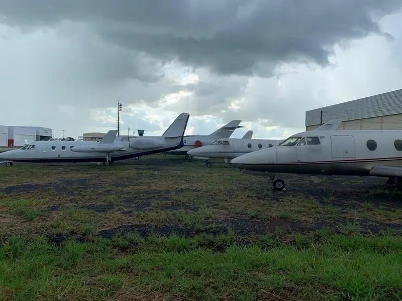 Jatinhos ganham espaço e Maringá entra nesse mercado