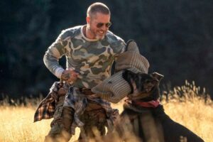 LANÇAMENTOS DA SEMANA - Vingadores de volta, Brad Pitt e One Piece estão entre as estreias dos cinemas de Maringá