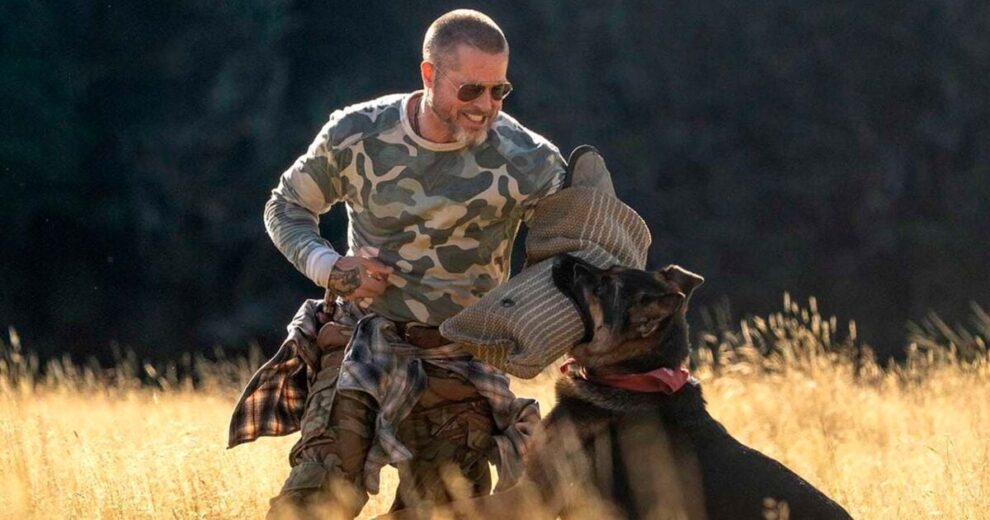 LANÇAMENTOS DA SEMANA - Vingadores de volta, Brad Pitt e One Piece estão entre as estreias dos cinemas de Maringá