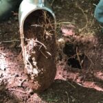 Manejo adequado amplia potencial produtivo do solo no Paraná