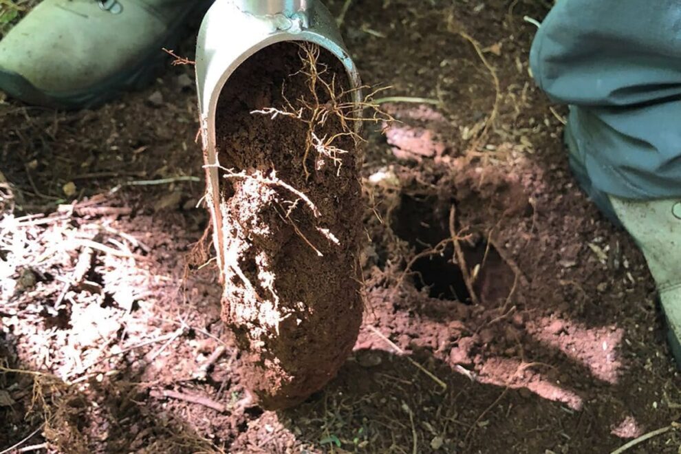 Manejo adequado amplia potencial produtivo do solo no Paraná