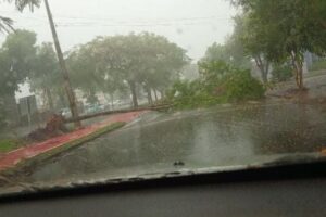 Maringá entra em alerta preventivo para tempestades com ventos fortes e chuva rápida