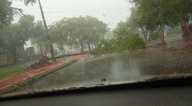 Maringá entra em alerta preventivo para tempestades com ventos fortes e chuva rápida