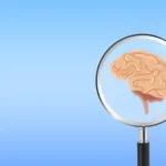 Neurologista alerta: Este é o pior hábito para a saúde do cérebro