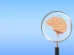 Neurologista alerta: Este é o pior hábito para a saúde do cérebro