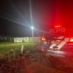 Operação policial combate organização responsável por prejuízo de R$ 10 milhões em furtos de gado na região de Maringá