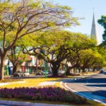 Foto: Cary Bertazzoni/Prefeitura de Maringá/Divulgação