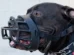 Raças de cachorros que são proibidas ao redor do mundo