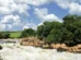 Rio Tietê fica com a água escura na região de Salto (SP)