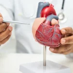Tem um coração saudável? Cardiologista propõe 7 desafios para descobrir