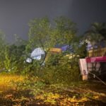 Temporal em Maringá registra ventos de 72km/h e derruba 22 árvores, afirma Defesa Civil