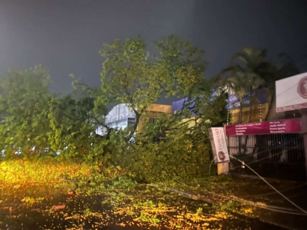 Temporal em Maringá registra ventos de 72km/h e derruba 22 árvores, afirma Defesa Civil