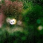Terça-feira (1º) terá chuva em Maringá, com máxima de 25°C, aponta Simepar