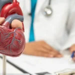 Uma bebida para relaxar? Entenda o que acontece com o seu coração