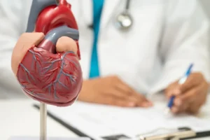 Uma bebida para relaxar? Entenda o que acontece com o seu coração