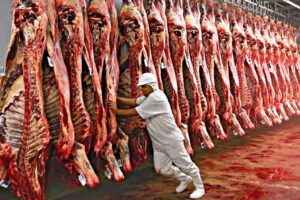 União europeia começa a barrar carne brasileira e aumenta pressão sobre o agronegócio
