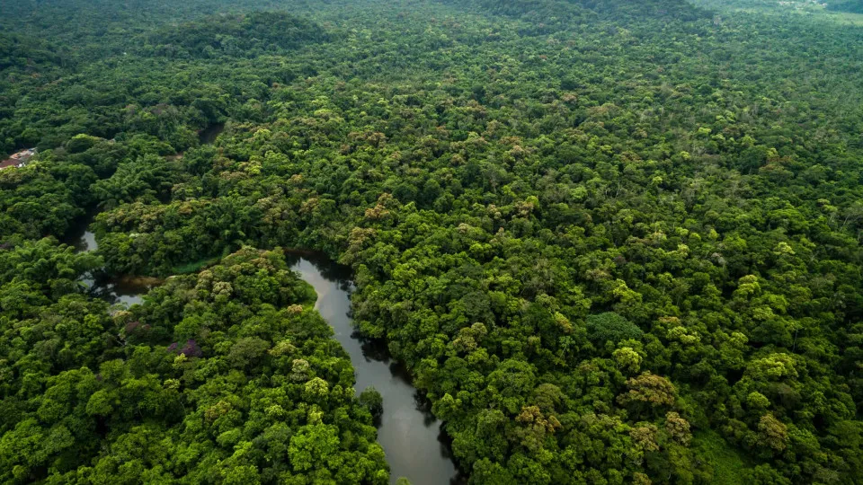 Amazônia e cerrado têm menor desmatamento já registrado