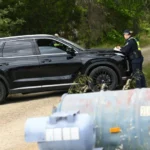 Deputada perde perna após ser atropelada de propósito na Austrália