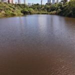 Homem contrata mergulhador para recuperar iPhone que caiu no lago do Parque do Ingá durante passeio de pedalinho