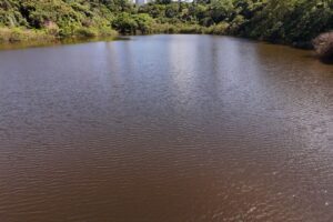 Homem contrata mergulhador para recuperar iPhone que caiu no lago do Parque do Ingá durante passeio de pedalinho