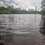 Lago do Parque do Ingá atinge maior nível de água em pouco mais de 1 ano