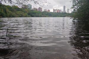 Lago do Parque do Ingá atinge maior nível de água em pouco mais de 1 ano
