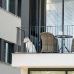 Lei quer enquadrar como maus-tratos deixar animais em sacadas de apartamentos em Maringá