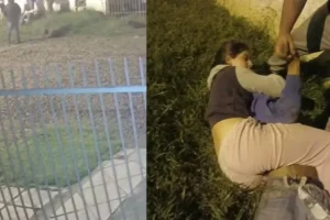 Menina de 14 anos imobiliza ladrão com mata-leão por 15 minutos após ele invadir sua casa