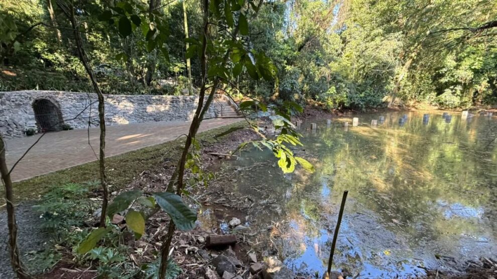 Novas nascentes brotam no lago do Parque do Ingá