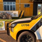 Quase meia tonelada de maconha é apreendida ao lado de carro clonado abandonado na região de Maringá