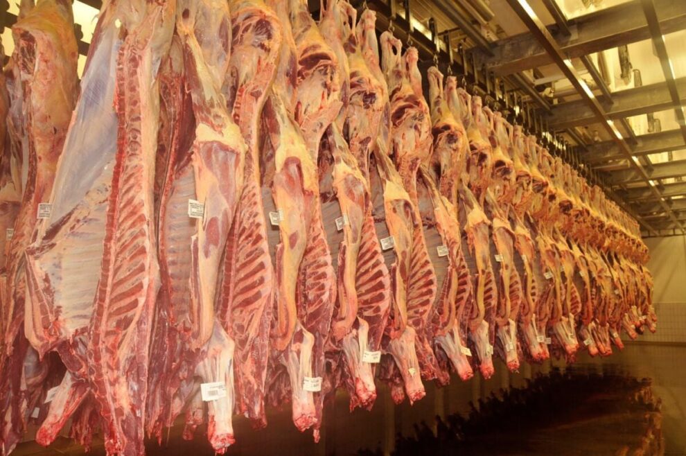 Sobretaxa da China exige abertura de novos mercados, afirma Sistema FAEP