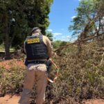 Suspeito de assassinar enteada de 14 anos em Floresta é morto após troca de tiros com a Polícia Militar