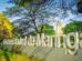 Foto: UEM